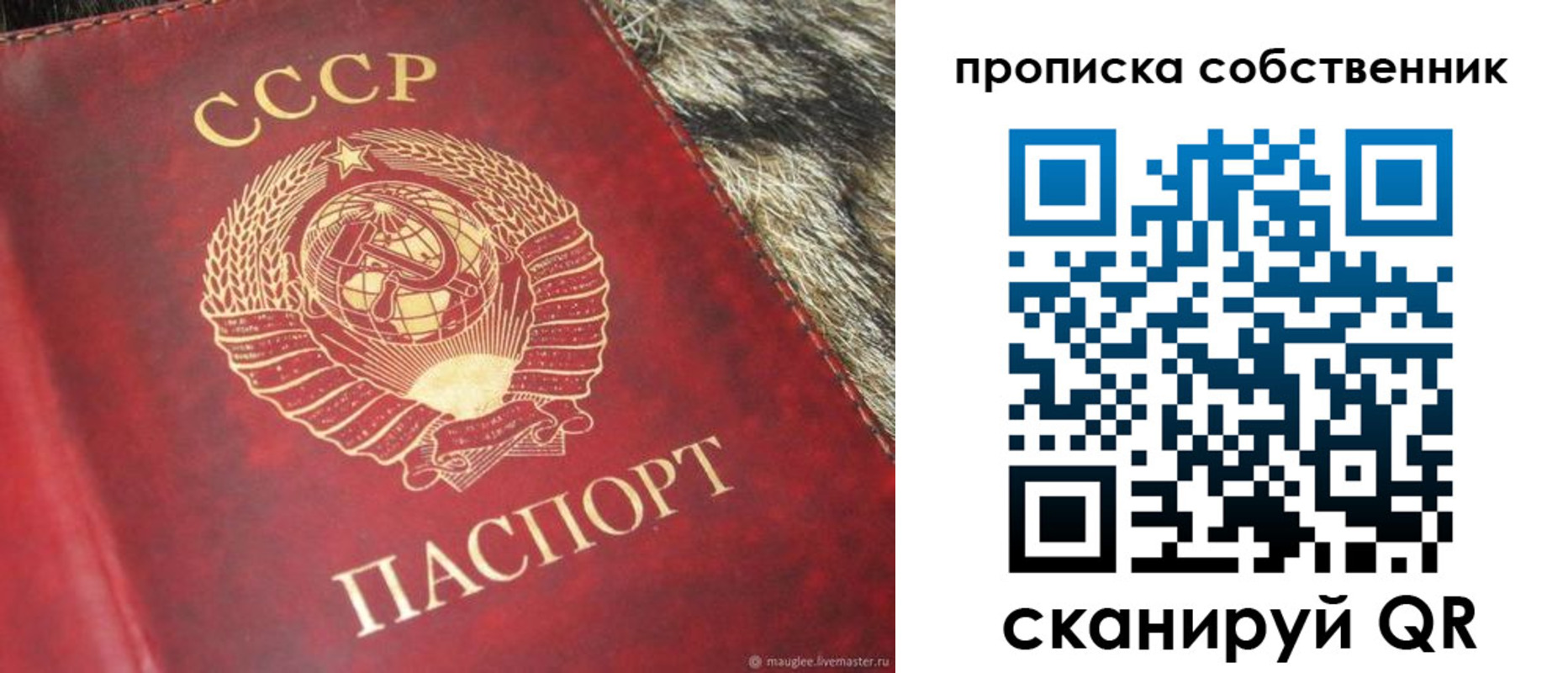 прописка в квартире в Чапаевске